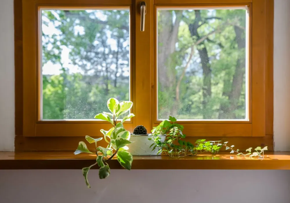 Fenetre en bois