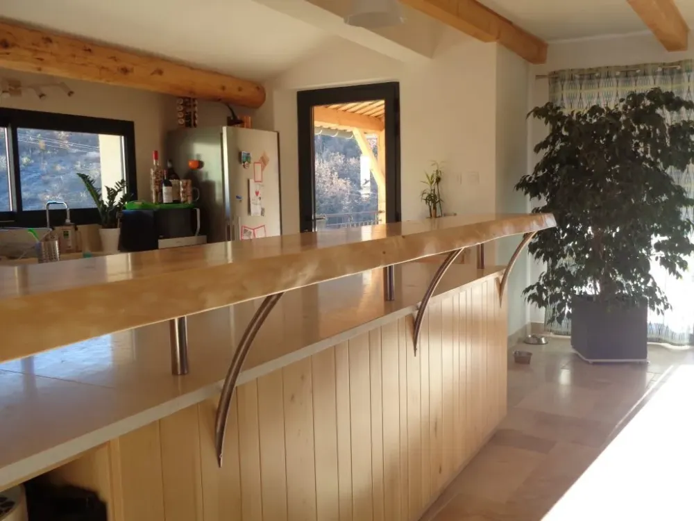 Cuisine (15)